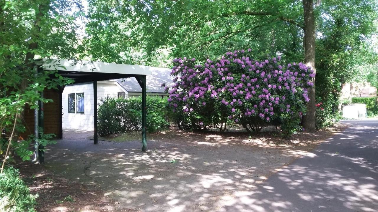 Vechtdalhuisje 16 オンメン エクステリア 写真